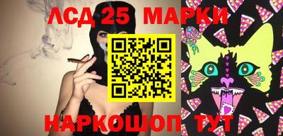 альфа пвп Аргун