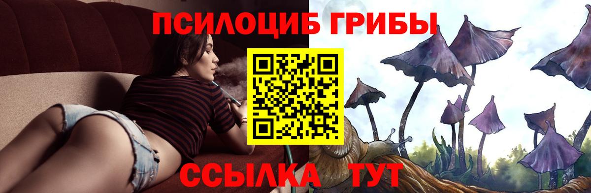 Владимир  магазин продажи   Вход с VPN  Псилоцибиновые грибы Cubensis  Псилоцибиновые грибы прущие грибы 